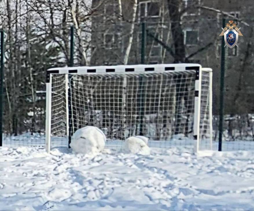 Футбольные ворота упали на ребенка в Приморье