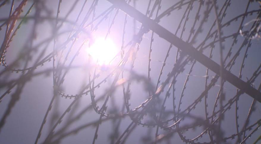 Жительница Владивостока осуждена за участие в преступном сообществе