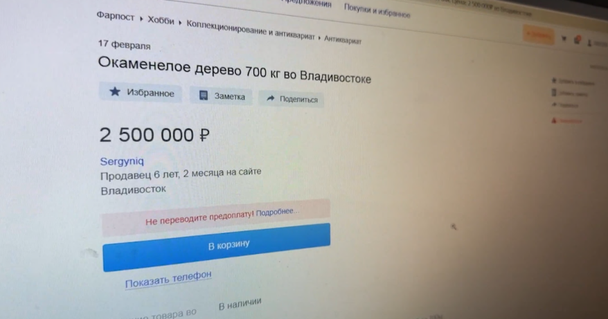 Чай за 700 тыс. и "мустанг" за 12 млн. - самые необычные товары предлагают на просторах интернета