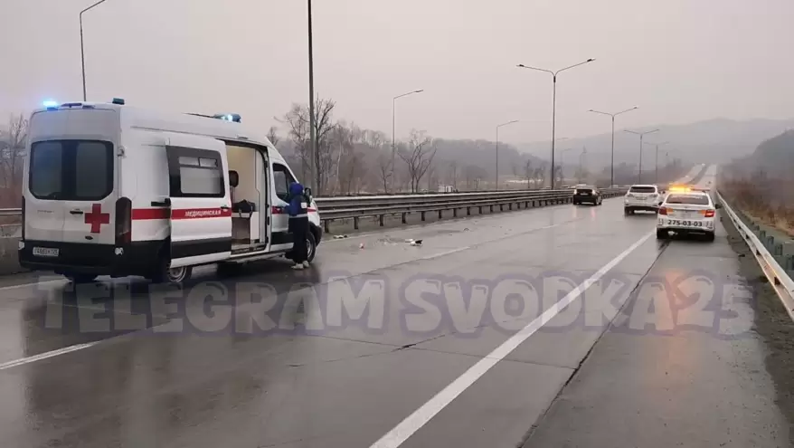 "Приус" сбил пешехода на трассе Владивосток - Находка: на месте скорая и ГАИ