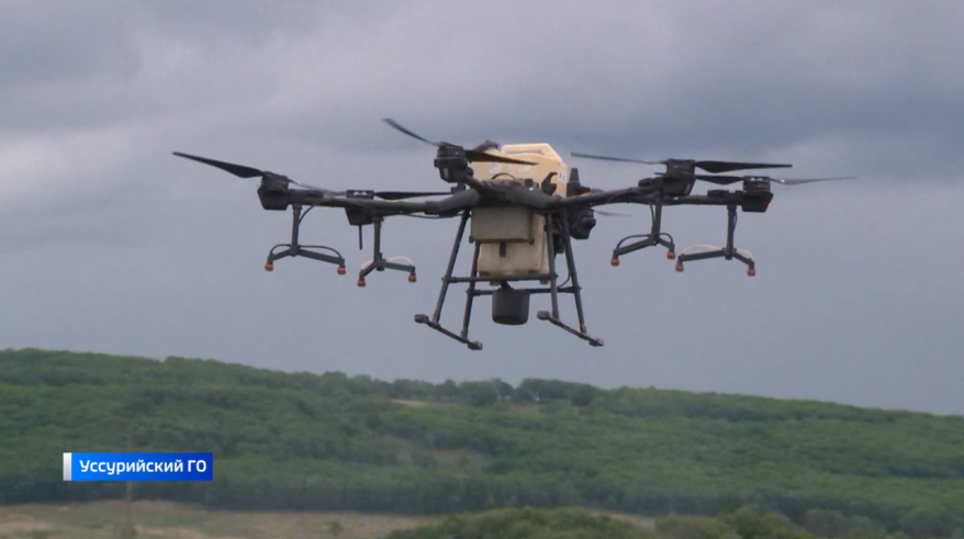 В Вооружённых силах РФ завершено формирование войск беспилотных систем: что они собой представляют