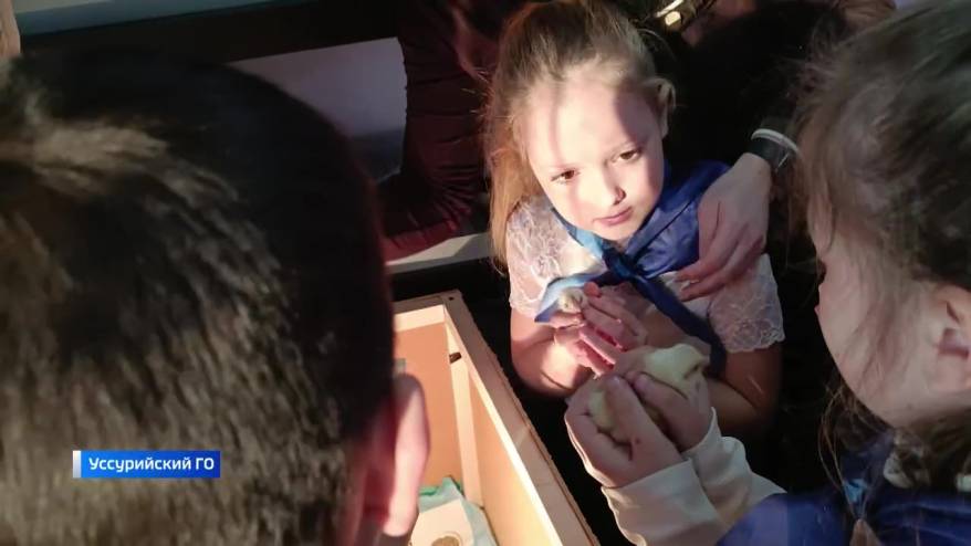 Школьники Борисовки в Приморье учатся премудростям сельского хозяйства в агроклассе