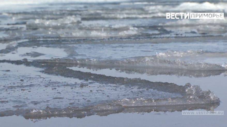 Subaru Forester провалился под лед во Владивостоке