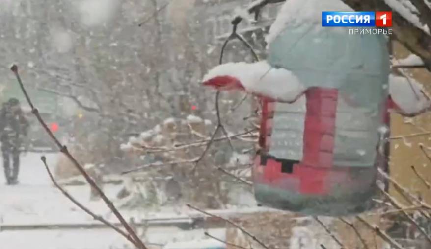 Синоптики рассказали о погоде в праздничные выходные дни в Приморье