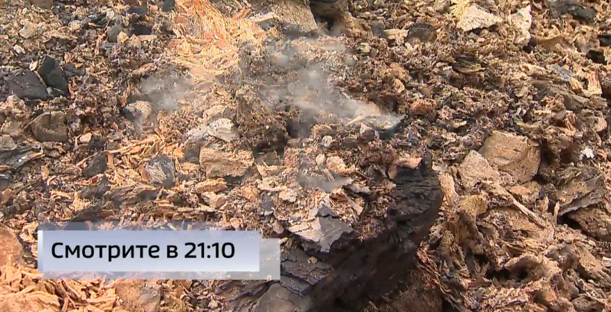 Дымит третий день: противопожарные рейды проходят в Приморье