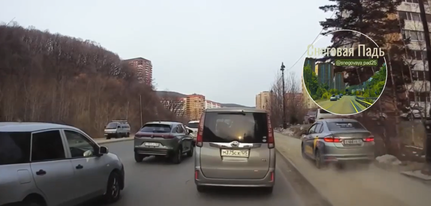 Поступок водителя "Хонда Грейс" вызвал общественный резонанс в Приморье