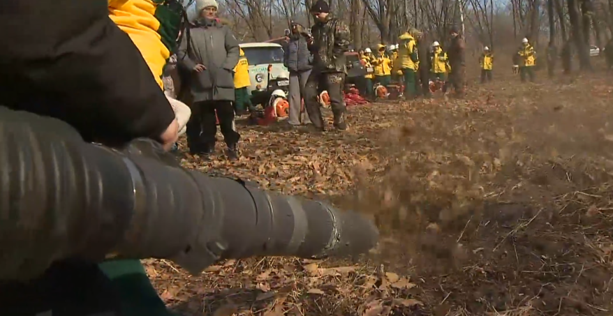 Огнеборцы отрабатывают навыки тушения лесных пожаров в Приморье