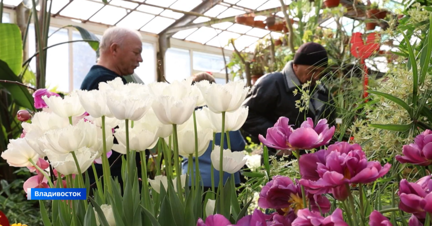 Цветочный бум в преддверии 8 Марта в Приморье: как продлить жизнь букетам?
