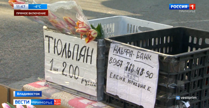 Штраф - до 100 тысяч: во Владивостоке началась "охота" на нелегальных продавцов тюльпанов