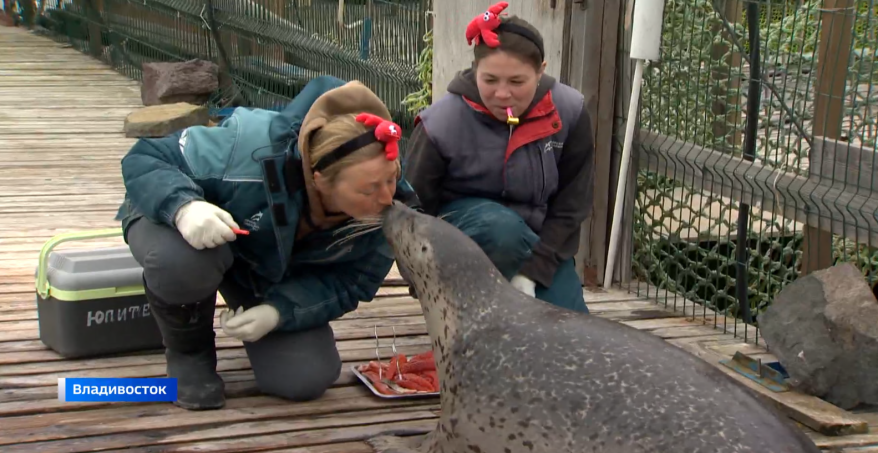 День рождения Юпитера отметили в Приморском океанариуме