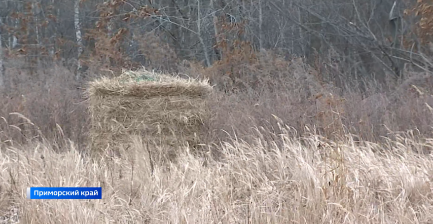 Россельхознадзор вынес девять предостережений владельцам земельных участков в Приморье