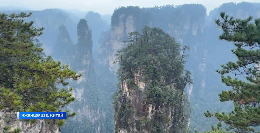 Дальневосточников приглашают отправиться в фантастический мир "Аватара"