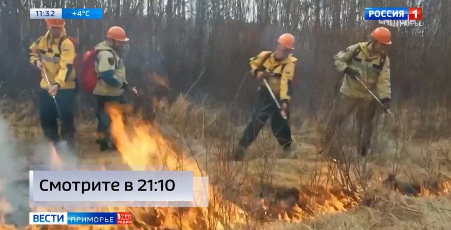 Смелая инициатива губернатора Приморья нашла поддержку в Совете Федерации РФ