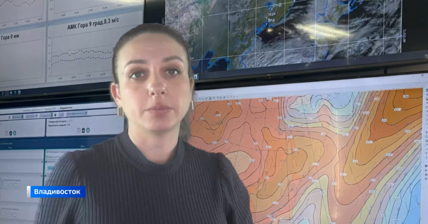 Новую порцию снега синоптики прогнозируют уже в пятницу в Приморье