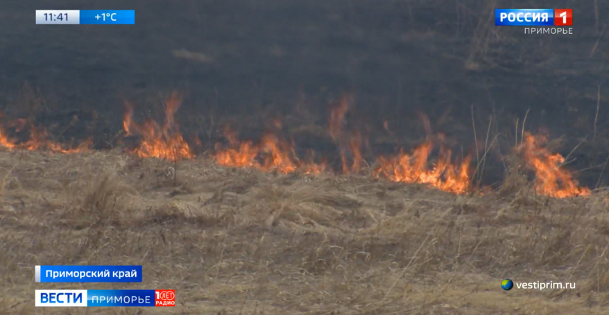 Федеральный центр настаивает на введении особого противопожарного режима в Приморье