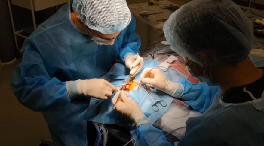 Уникальную операцию провели студенты владивостокского медуниверситета