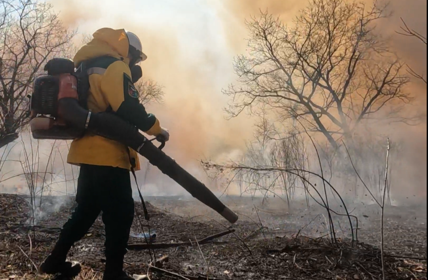 В Приморье начался пожароопасный сезон: штрафы и меры безопасности. Интервью