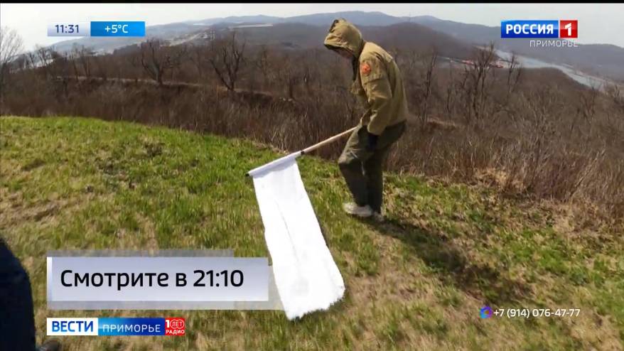 Сезон клещей официально открыт в Приморье