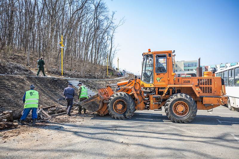 Во Владивостоке прошла масштабная акция чистоты