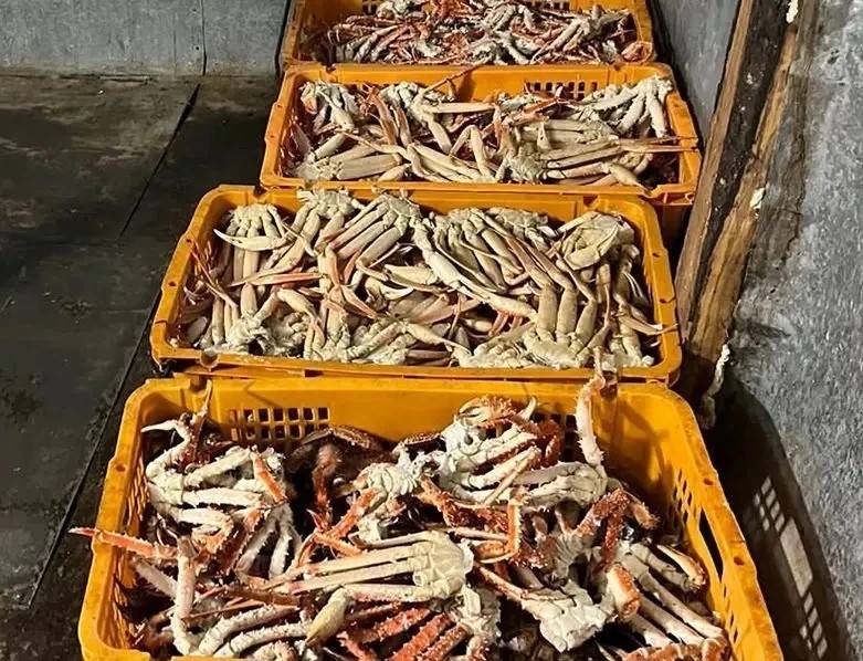 Суд взыскал с браконьеров 11 млн. рублей в Приморье