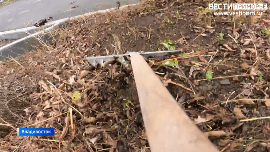 В Приморье наркоман приговорен к 200 часам обязательных работ