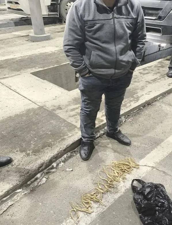 Водитель-иностранец пытался контрабандно вывезти из России 35 корешков женьшеня