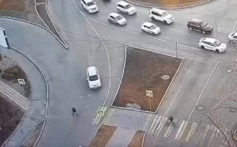 Во Владивостоке самокатчик «подставил» водителя авто под статью