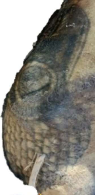 Полиция просит приморцев помочь установить личность мужчины по татуировке