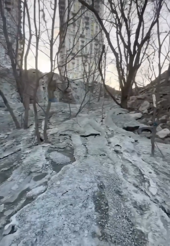 Бетонная река уничтожает лес во Владивостоке