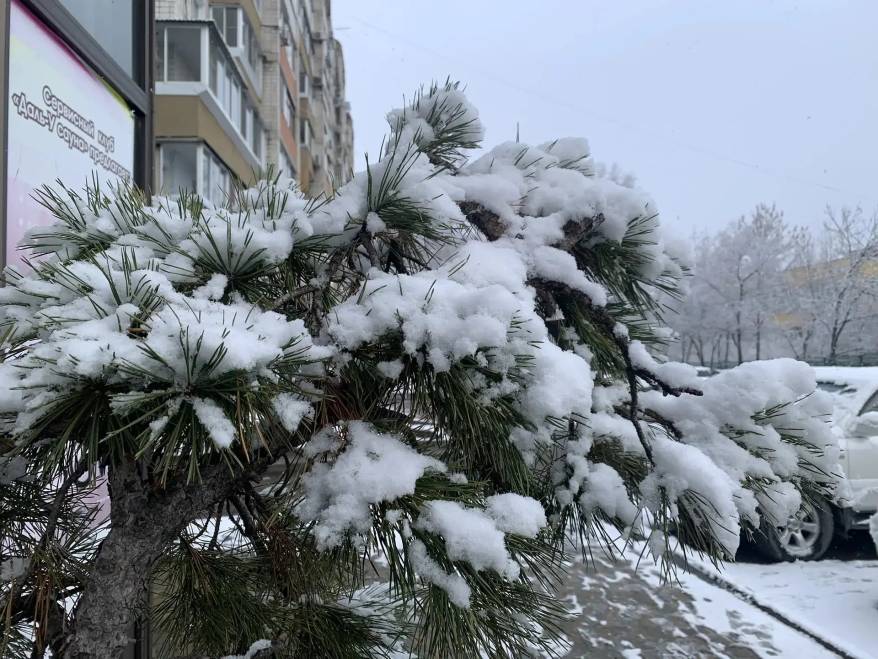 Снег с градом: в некоторые районы Приморья вернулась зима