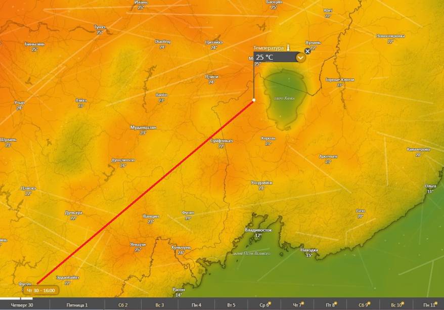 Субтропики заказывали?: Приморье ждет летняя жара