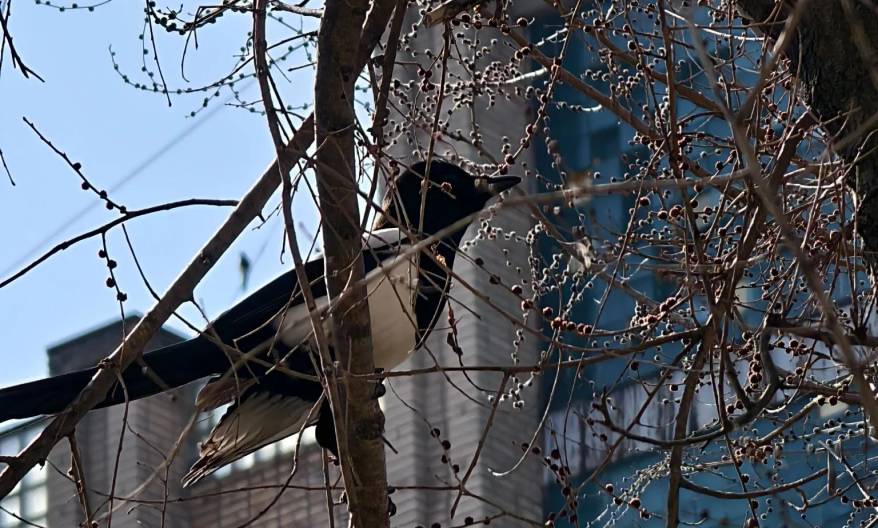 Завершение отопительного сезона во Владивостоке запланировано на начало мая