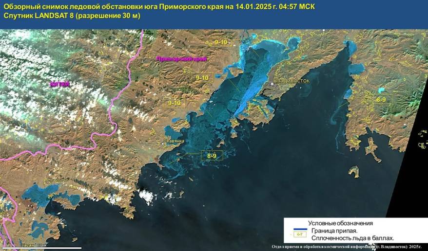 Приморье превращается в субтропический регион