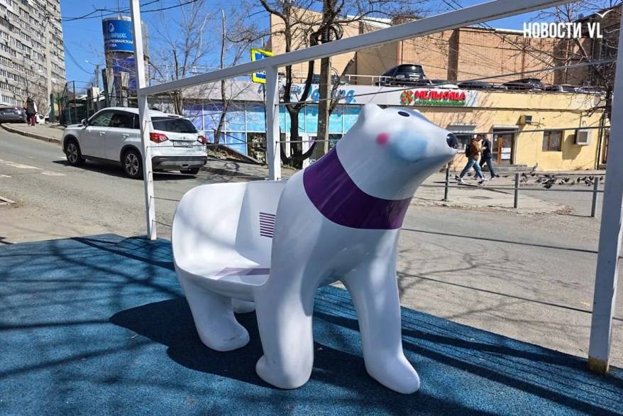 Украденного медведя вернули владельцу во Владивостоке, поиски похитителей продолжаются