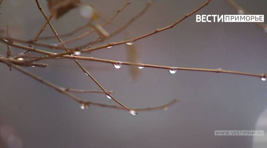 С середины недели погода ухудшится в Приморье