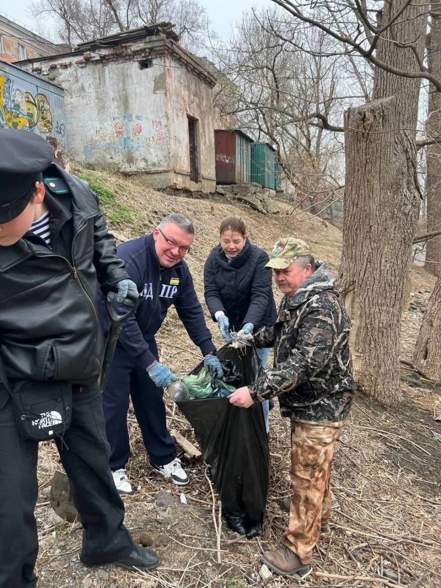 Кедры высадили в Гайдамакском сквере депутаты ЛДПР, активисты и «Боевое братство»