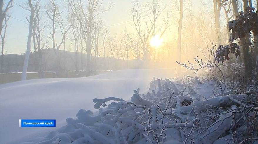 Снег идет: районы Приморья оказались во власти циклона