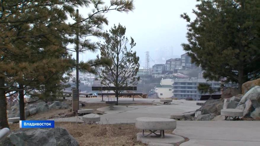 Во Владивостоке разрабатывают стратегию по озеленению города