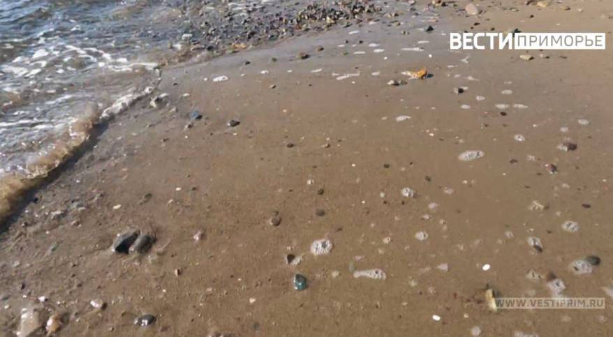 Весь пляж усыпан трупами на мысе Кунгасном во Владивостоке