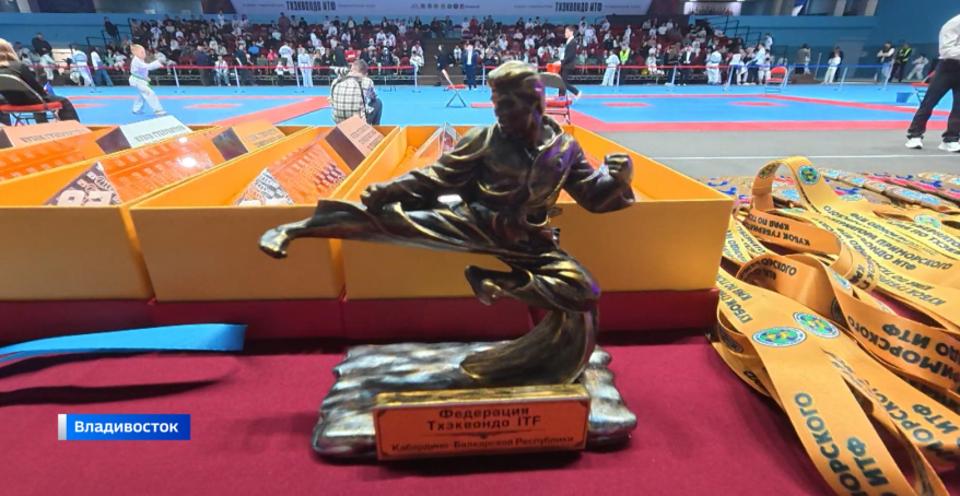 Во Владивостоке разыграли медали Кубка Губернатора по тхэквондо