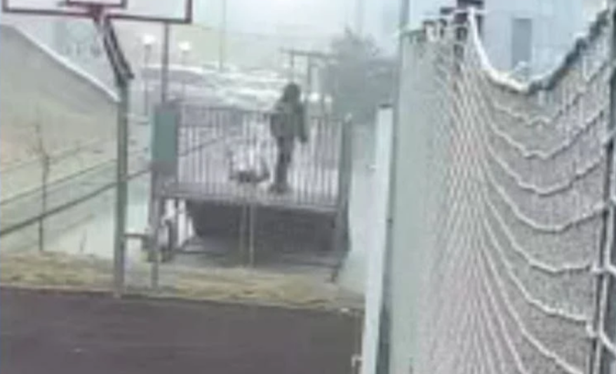 Во Владивостоке подростки поставили ребёнка на колени и угрожали молотком