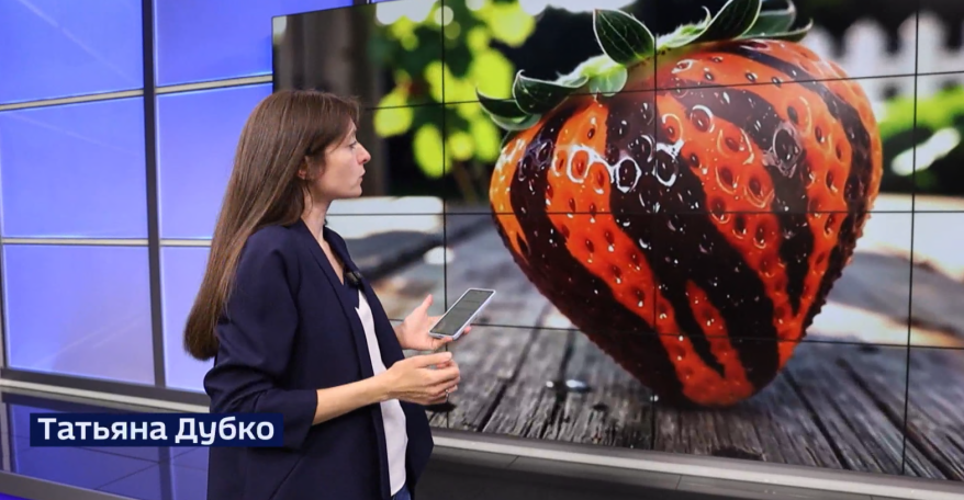 "8 кг ягод со ствола": "чудо-саженцы" предлагают мошенники на маркетплейсах