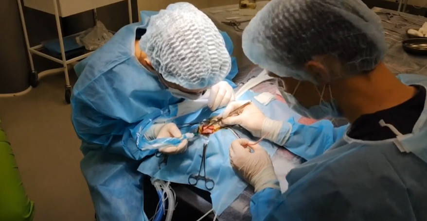 Уникальный эксперимент по восстановлению зрительного нерва провели медспецы в Приморье