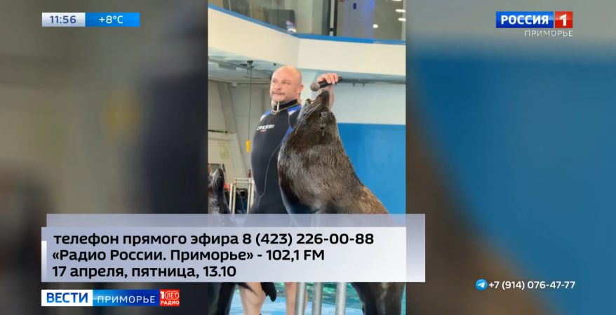 Билеты в дельфинарий разыграет "Радио России. Приморье" в "Щедрую пятницу"