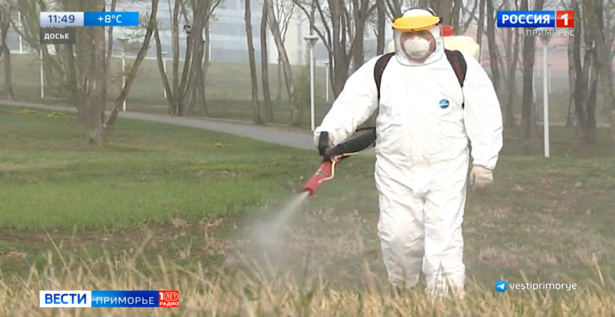 Клещи атакуют: в Приморье уже более 275 пострадавших