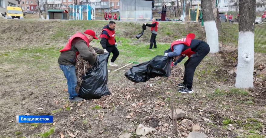 Сменили кабели на грабли и кисти: благотворительный субботник организовала компания "Подряд"