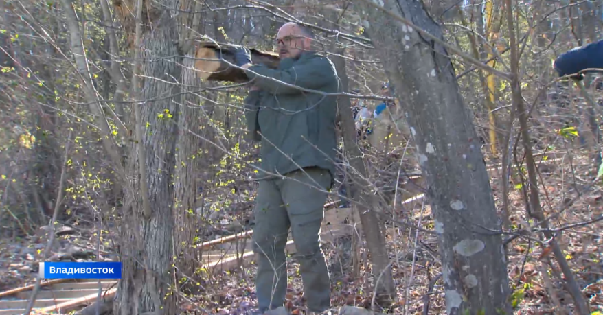 Глава Владивостока Константин Шестаков станет героем будущего телепроекта ГТРК "Владивосток"