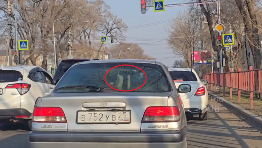 Девушка "зажгла в танце" прямо на дороге в Приморье