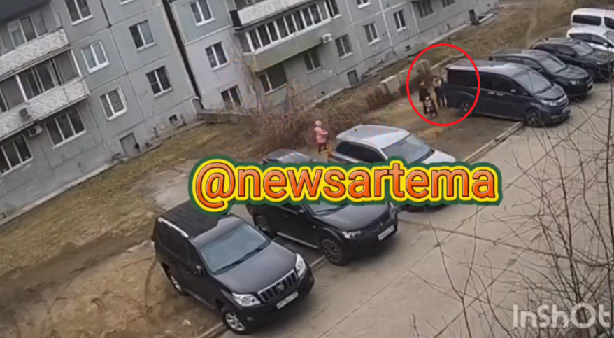 "Забросали камнями": вопиющий инцидент произошел во дворе многоэтажки в Приморье