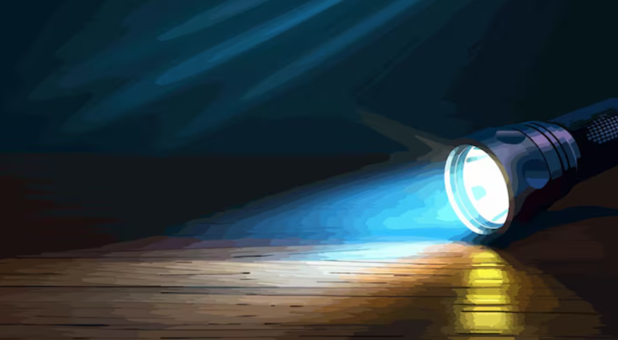 Поиски братьев-близнецов прекращены во Владивостоке